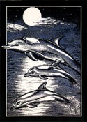 Dolphin Print Area Rug